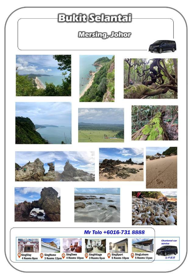 Singhome Holiday House Mersing Eksteriør bilde
